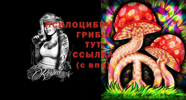 хмурый Нефтегорск